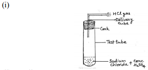 Draw a labelled diagram to show the preparation of hydrogen chloride gas in laboratory